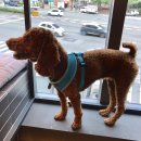 힘찬동물병원 이미지