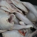 거창-신원-2 이미지