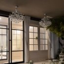 베뉴비안 이미지