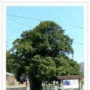 탑립농장 이미지