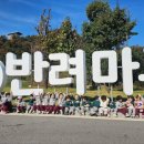 922 이미지