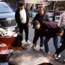 태영수산 - 남동구 은봉로165번길 24 | 태영수산