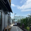 마루네 고양이미용실 이미지