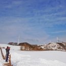 삼양목장 이미지