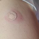 소화가정의학과의원 이미지