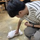 멍뭉몽 | 대구 강아지 있는 | 카페 멍뭉뭉애견카페 후기 | 강아지 없이 방문 가능