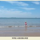 서포리해변1 | 덕적도 서포리 해수욕장, 비조봉, 오토캠핑장까지 총정리