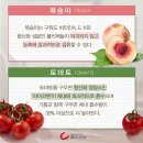 조은과일 이미지