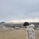 곰섬파라다이스2 이미지