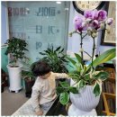 피아노이야기음악학원 이미지