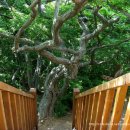 옹진주유소 이미지