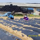 김인숙 농장 이미지