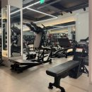 시드니짐 이미지