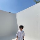 프롬여름