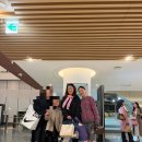 새라새 필하모닉 정기 연주회 | 🎼 LG필하모닉오케스트라 정기연주회 후기