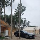 원북면사무소 | 태안 글램핑 가든글램핑캠핑장 신두리해수욕장 해루질 성공