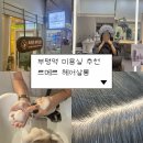 감성헤어(인천도원점) | [인천/부평] 부평여자머리추천 르메르헤어 부평점 두피클리닉 후기