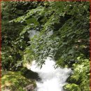 검룡소모뉴멘트 이미지