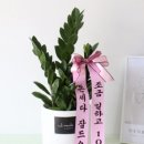 번영문구 이미지