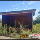 알바모터스 이미지