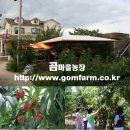 곰마을민박 이미지