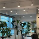 위너블 피티 앤 필라 이미지