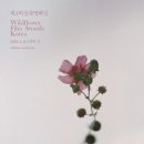 들꽃처럼 이미지