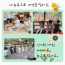 행복숲어린이집 이미지
