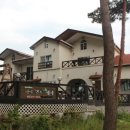 마이앤트세라 이미지