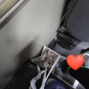 꽃수저F/S | [서울 송파구] 9년째 운영중 "플로리움" 꽃 화분 후기 / 문정동 꽃집 / 문정역 꽃집