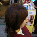 미서헤어 이미지