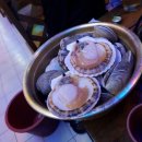 전라도거시기 이미지