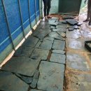 판석농장 이미지