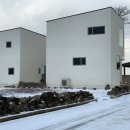 스테이느으린 이미지