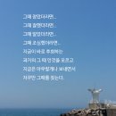 담넘어 Daum카페