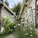 시작에머물다 이미지