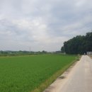 구시리경로당 이미지