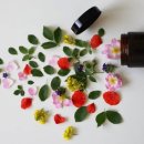 태산약국 이미지