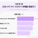 서울 강아지 장례 추천, 비용보다 중요한 건 따로 있다? 불법 업체 모르면 큰일납니다.