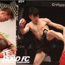 ROAD FC 이미지