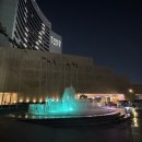 엘 미니동물원 | 두바이 호텔 추천 Dubai Grand Hyatt 24시간 체크인 조식 수영장 룸컨디션 편의점 후기
