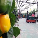 김성태 농장 이미지