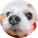 주식회사 리우 이미지