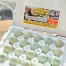 통일청란 이미지