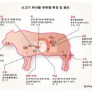 본격곱창 이미지
