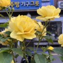 서울중앙시장 이미지