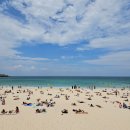 하라힐즈(HARA HILLS) - 연수구 | [🇦🇺시드니] 본다이 비치-브론테 비치 코스탈 워크 산책 + 패디스마켓