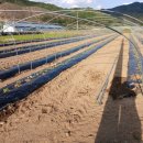 이종선농장 이미지