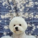 코즈몽 이미지