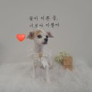 땡자네 묭실 이미지